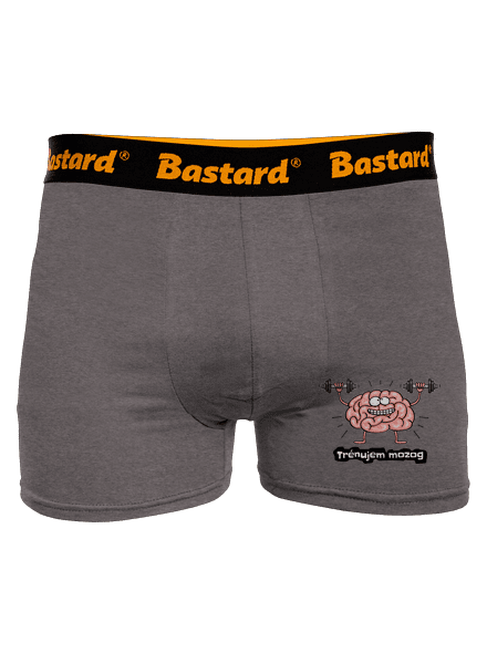 Trénujem mozog  boxerky Gray Melange