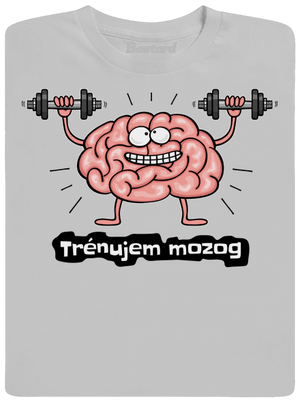 Trénujem mozog  pánske tričko Pacific Grey