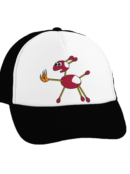 Gaštany šiltovka truckerka Black cap