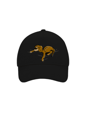 šiltovka baseballka