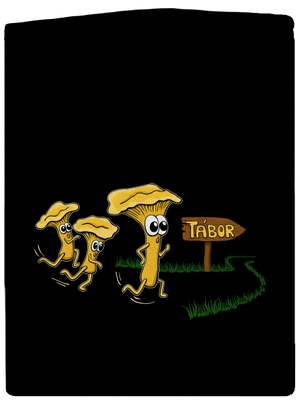 Beží líšky k táboru pánska mikina na zips Black