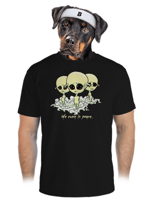 pánske športové tričko