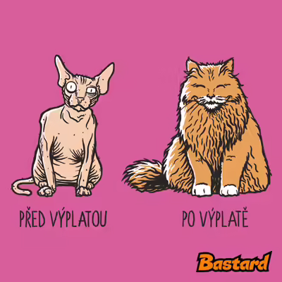 Mačka pred výplatou