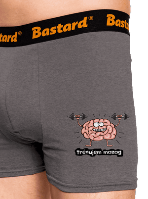 Trénujem mozog  boxerky Gray Melange