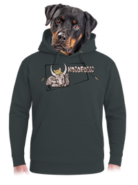 unisex mikina premium