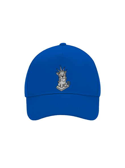 New Yorkshire šiltovka baseballka Bright Royal