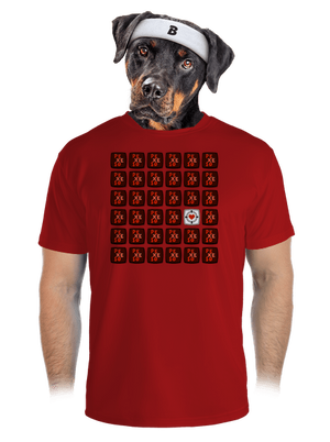 pánske športové tričko