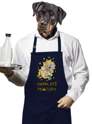 Iskrím zástera Navy