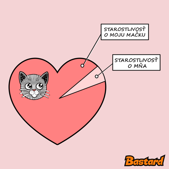 Staroslivosť o mačku