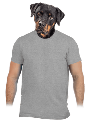 Bez potlače pánske tričko Sport Grey