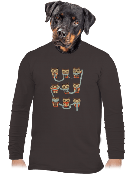 Sovičky pánske dlhý rukáv Bear Brown