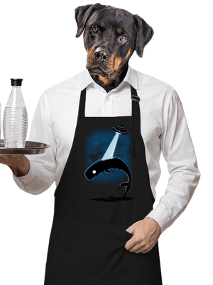 Big Fish zástera Black