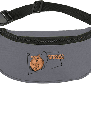 Mačací horoskop: Strelec ľadvinka Graphite