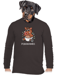 pánske dlhý rukáv