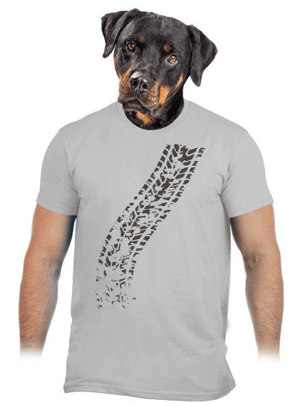 Prejdený pánske tričko Pacific Grey
