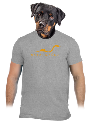 Nájdi mačku pánske tričko Sport Grey