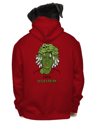 pánska mikina na zips