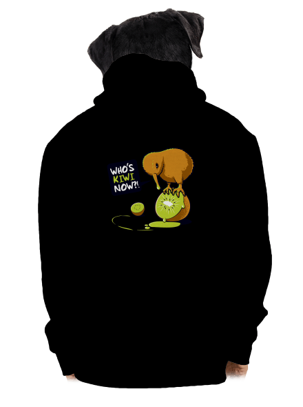 Kiwi pánska mikina na zips Black