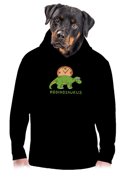 Hodinosaurus pánska mikina klokanka Black