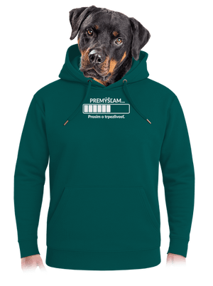 Premýšľam unisex mikina premium Emerald Green