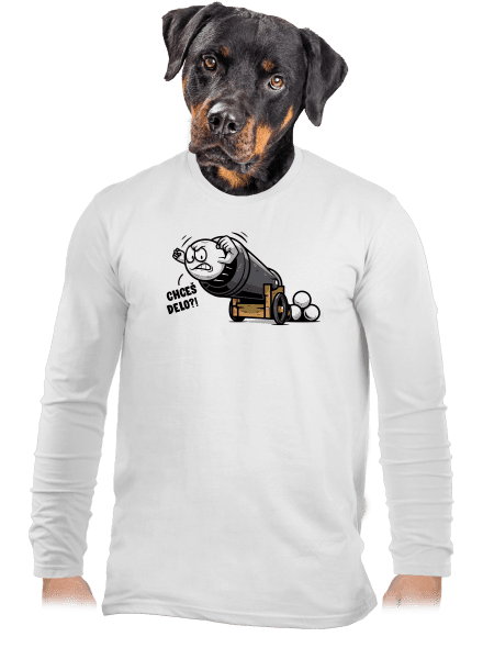 Chceš delo? pánske dlhý rukáv White