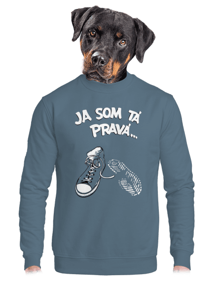 Hľadám tú pravú unisex mikina bez kapucne Nordic Blue