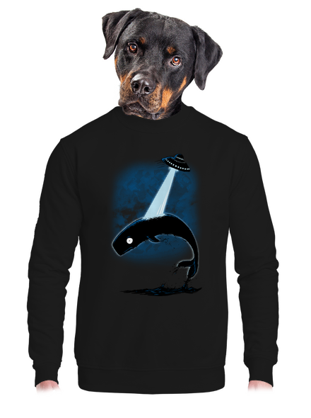 Big Fish unisex mikina bez kapucne Black