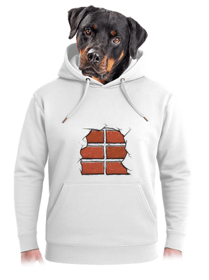 Tehly unisex mikina premium Snowwhite