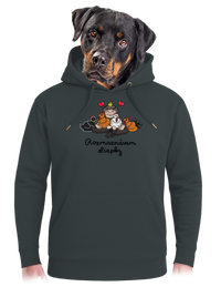 unisex mikina premium