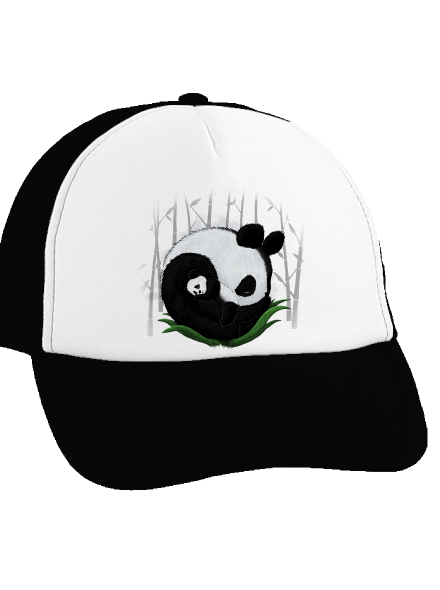 Dve spiace pandy šiltovka truckerka Black cap