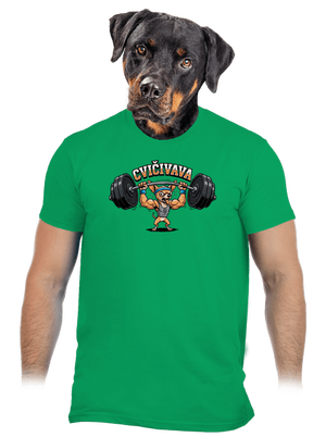 pánske tričko