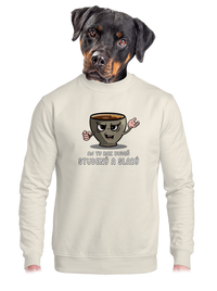 unisex mikina bez kapucne