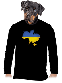 pánske dlhý rukáv