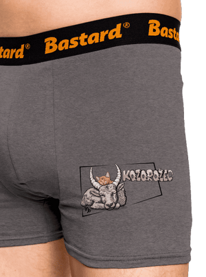 Mačací horoskop: Kozorožec boxerky Gray Melange