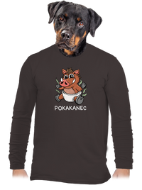 pánske dlhý rukáv