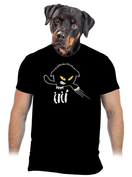 Čičina pánske tričko Black