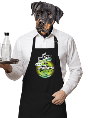 Rallysprint 2030 zástera Black