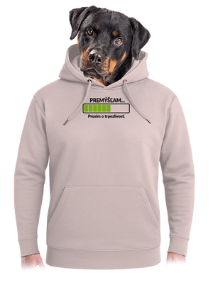 Premýšľam unisex mikina premium Rose Chalk