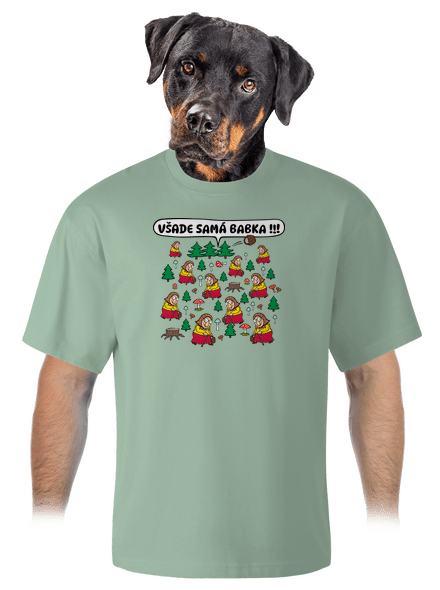 Všade samá babka unisex tričko oversized Sage
