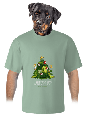 Stačí nazdobiť unisex tričko oversized Sage