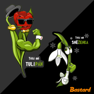Sněženka a Tulipán