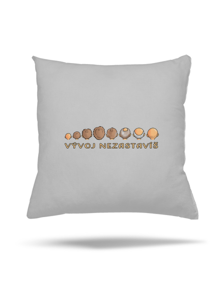 Vývoj nezastavíš vankúš Pacific Grey