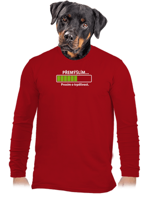 pánske dlhý rukáv