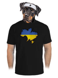 pánske športové tričko