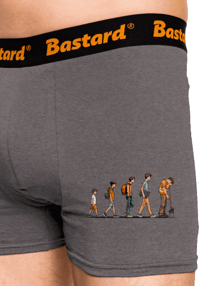 Evolúcia študenta boxerky Gray Melange