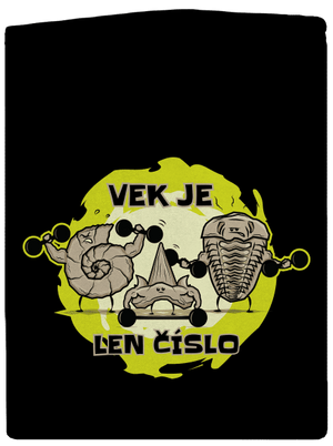 Vek je len číslo dámska mikina na zips Black