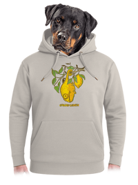 unisex mikina premium