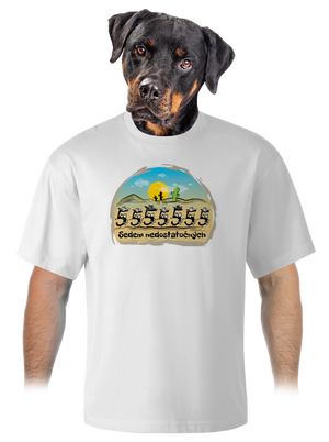 unisex tričko oversized