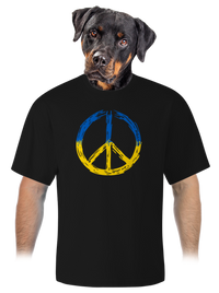 unisex tričko oversized