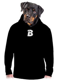 pánska mikina klokanka